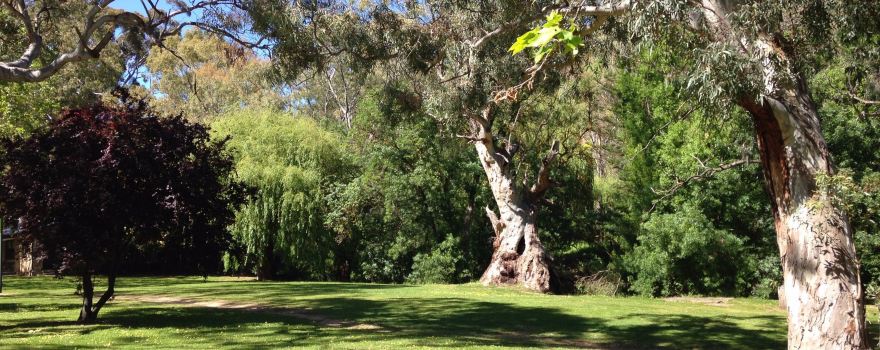 Brownhill Creek Recreation Park