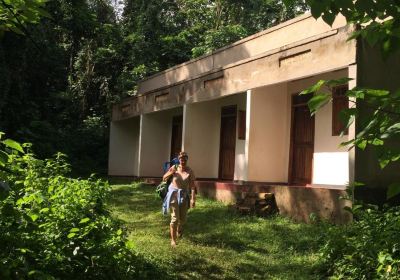 Jinja
