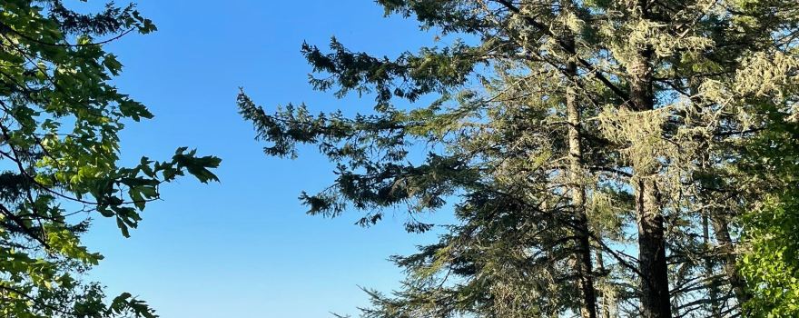 Ruckle Provincial Park