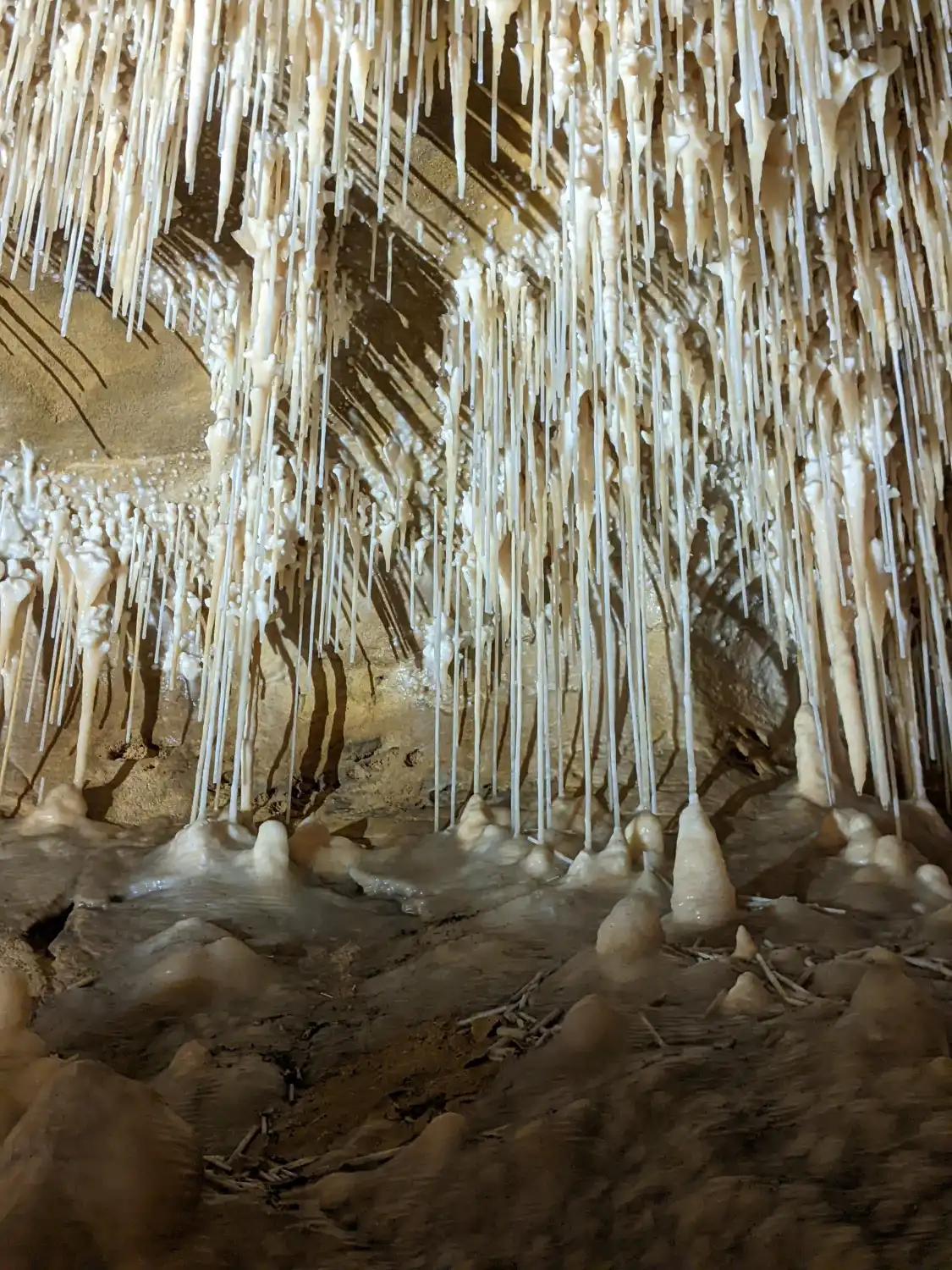 Hôtels à proximité de : Grottes de Cougnac