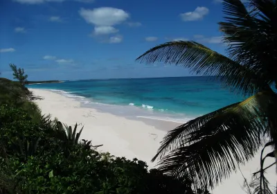 Northside Beach
