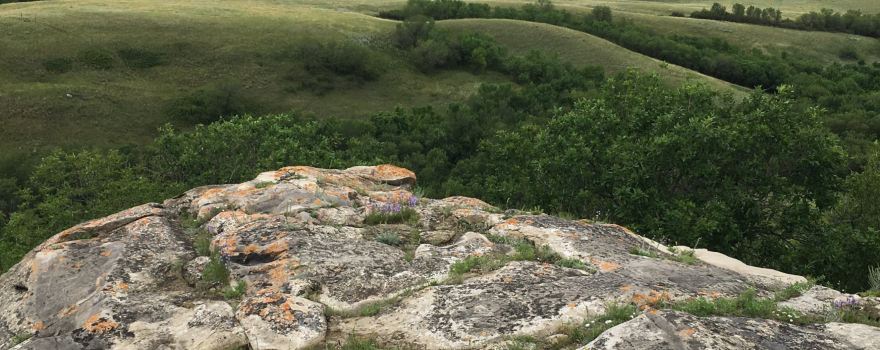 St. Victor's Petroglyphs Provincial Historic Park