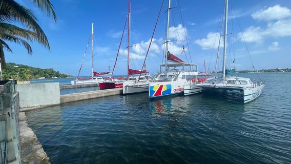 Dreamer Catamaran Cruises