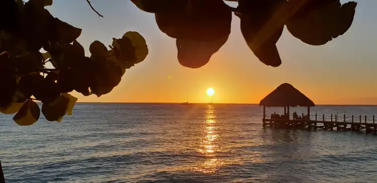 Dominicus