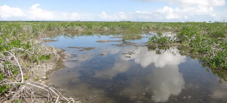 Hotel a 3 stelle in Distretto di Corozal, Belize