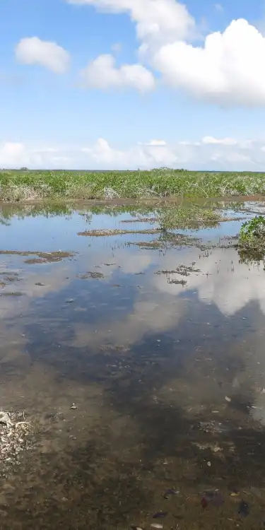 Hotels in Corozal, Belize