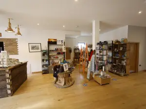 Dyfi Osprey Project