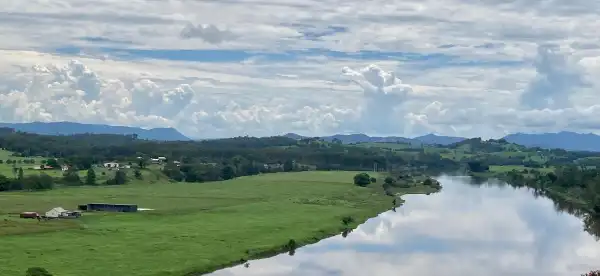 Taree