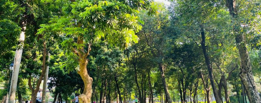 Công viên Thống Nhất