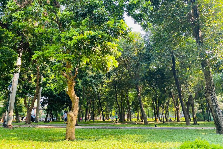 統一公園
