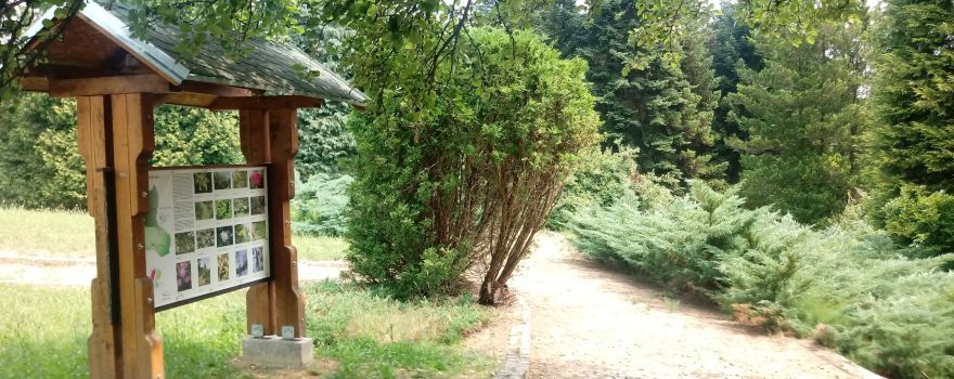 Arboretum Lisičine