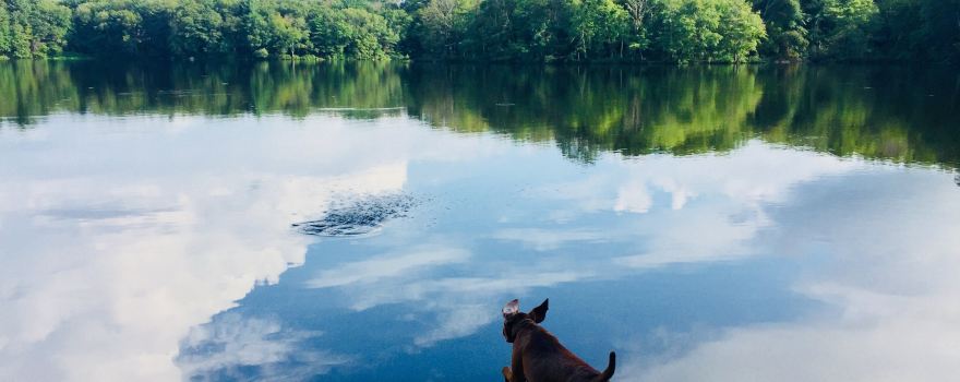 Ashland State Park