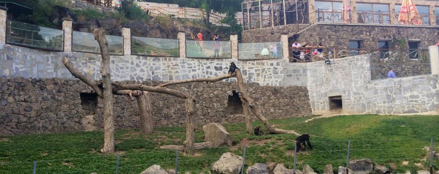 Jambo Exotic Park & Restaurant