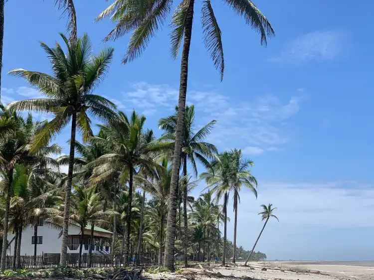 Hotels near Isla Jupiter