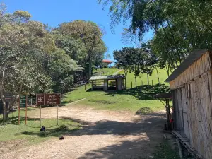 Alto de Las Piedras Archaeological Park