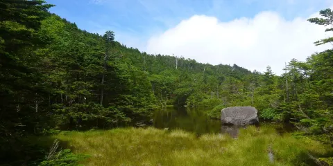 Nanatsuike Pond