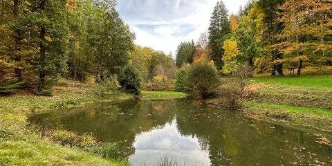 Arboretum Robert Lenoir