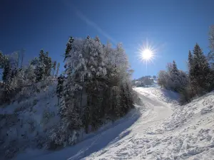 Skilift Steg