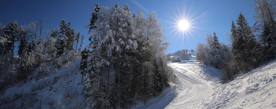 Skilift Steg