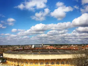 Arénes du Plumaçon