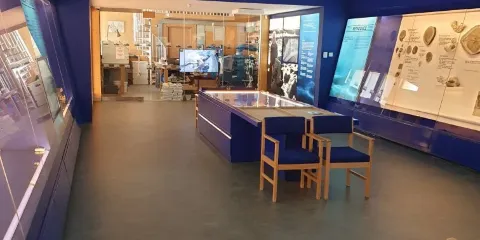 The Etches Collection Museum of Jurassic Marine Life