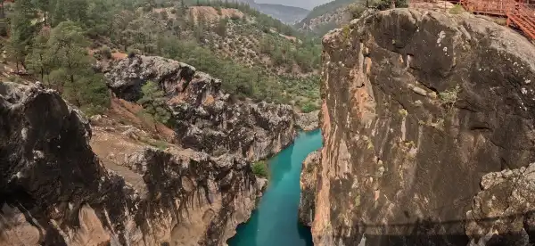 Mut otelleri