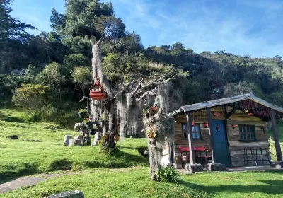 Guasca