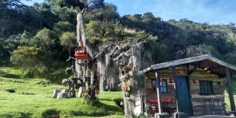 Petroglifos Pajarito