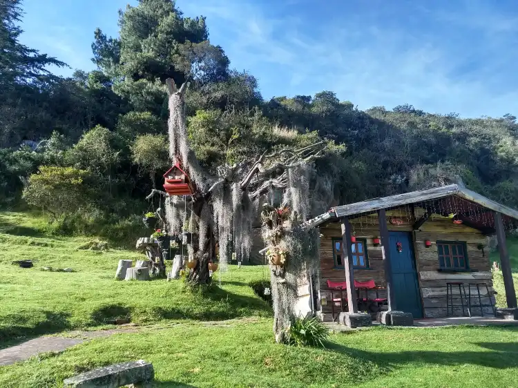 Guasca