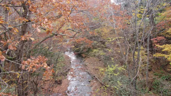 Yacho Bridge