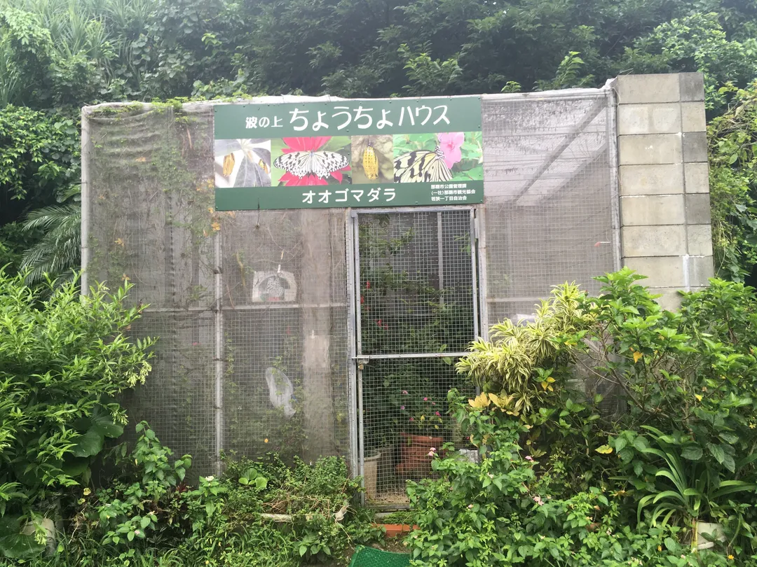 1_Nami no Ue Chocho House