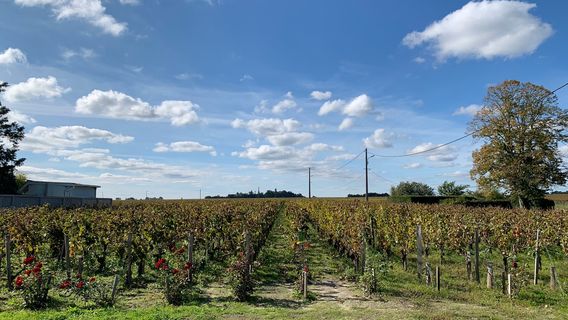 Domaine Les Sadons