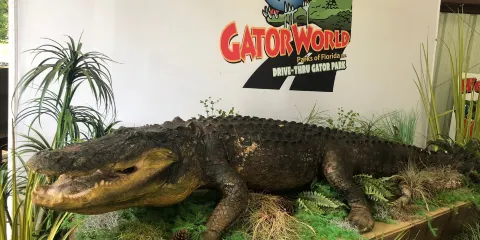GatorWorld Parks of Florida Inc.