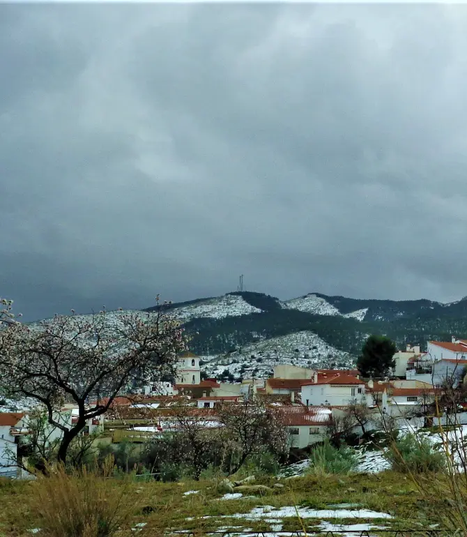 Tahal