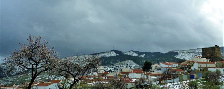 Tahal