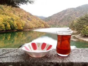 Boraboy Gölü Mesire Alanı