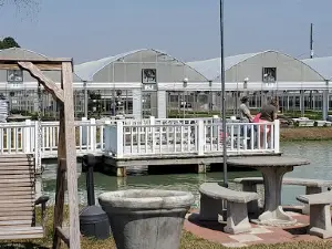 County Farm Plant Company