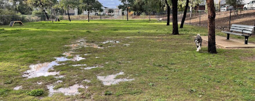 Pooch Park Blakes Crossing