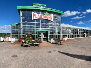 Plantagen