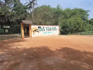 The Tortoise Village