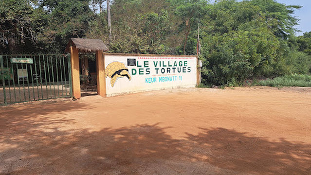 The Tortoise Village