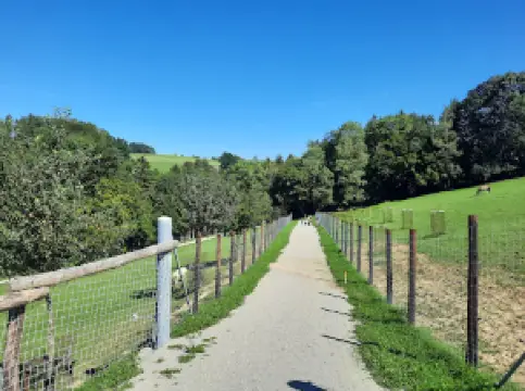 ヴィルドパーク・ホッホリース