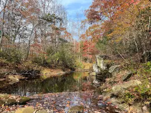 Appomattox-Buckingham State Forest