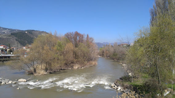 Alifuatpaşa Kuvay-ı Milliye Müzesi