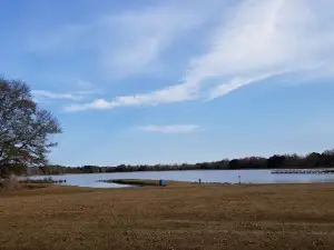 Lake Tom Bailey