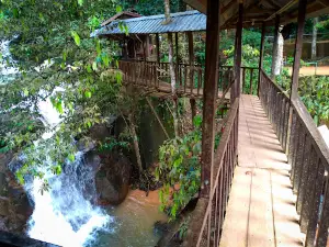 Takah Pengkoi