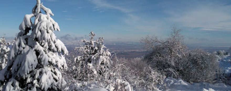 Mirador del Serradero