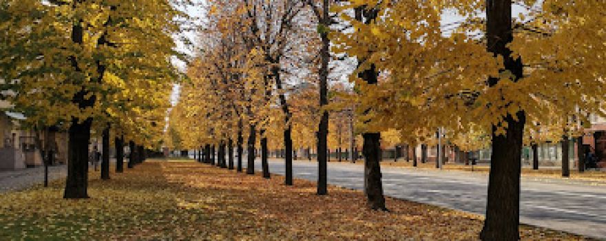 Atazhukinsky Garden