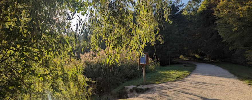 Lac aux Nénuphars