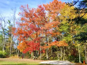 Teter Creek Lake Wildlife Management Area